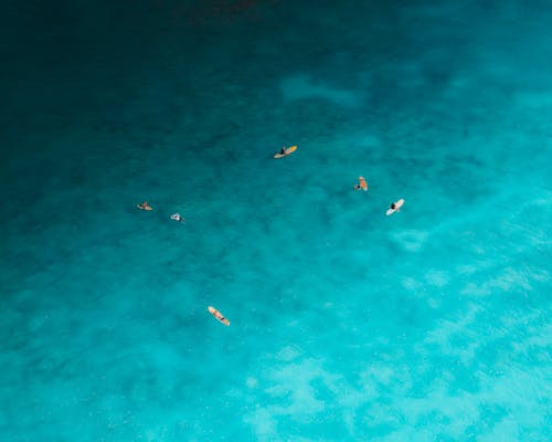 Free Aerial View of People Swimming in Sea Stock Photo