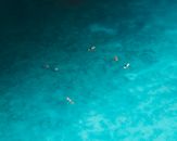 Aerial View of People Swimming on Sea