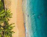 Group of People Swimming in Turquoise Tropical Sea