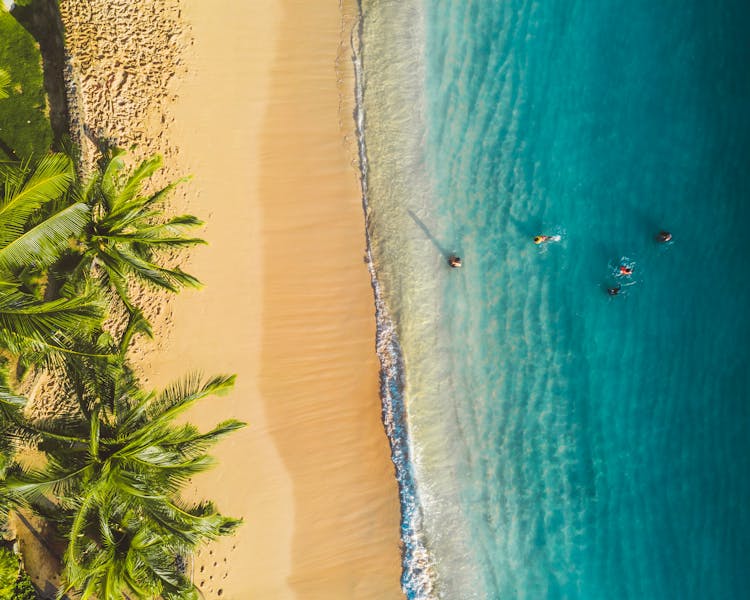 Group Of People Swimming In Turquoise Tropical Sea