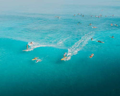 Tourists Surfing in the Sea · Free Stock Photo