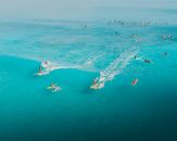 People Swimming on Sea