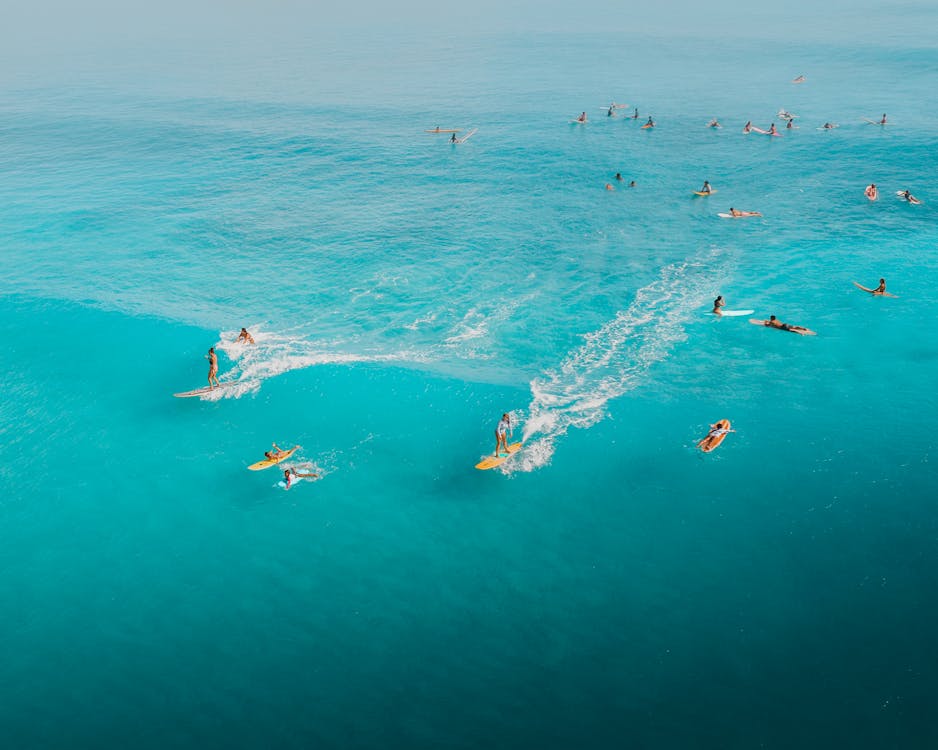 People Windsurfing on Sea