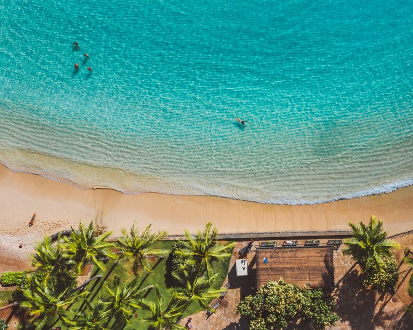 Aerial view of a curved tropical beach with turquoise water and palm trees