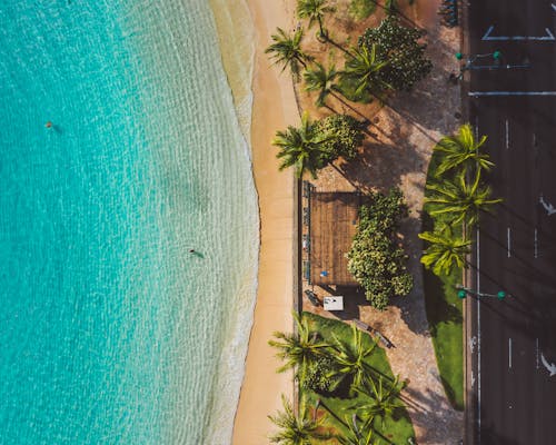 Drone Shot of a Beach, Blue Ocean Water and Palm Trees