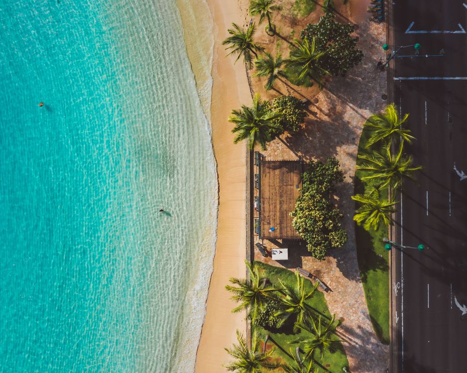 Drone Shot of a Beach, Blue Ocean Water and Palm Trees · Free Stock Photo