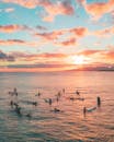 Silhouette of People on Sea during Sunset