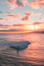 People Surfing at Sunset 