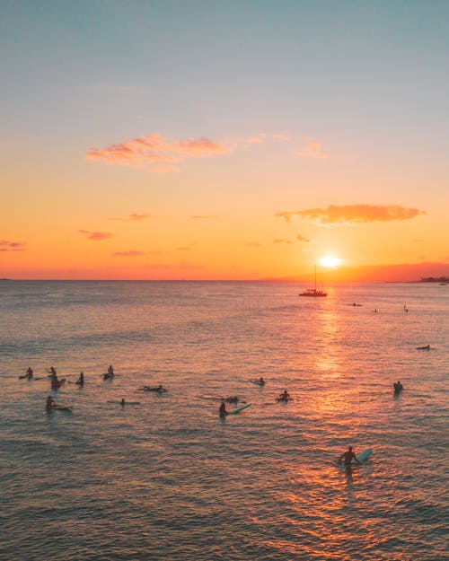 People Swimming in Sea at Sunset