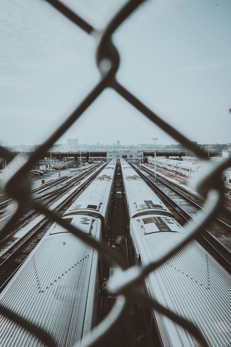 Trains In The Railway Yard