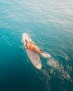 Woman in White and Pink Bikini Lying on White Surfboard on Body of Water