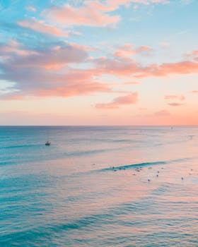 宁静的海洋日落下，温暖的粉红色天空中散布着船只和鸟类