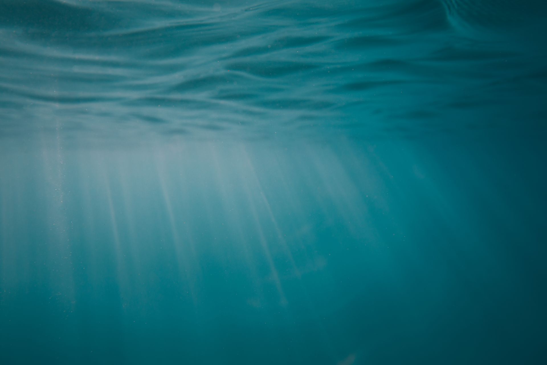 Underwater at Manta Point (Nusa Penida)