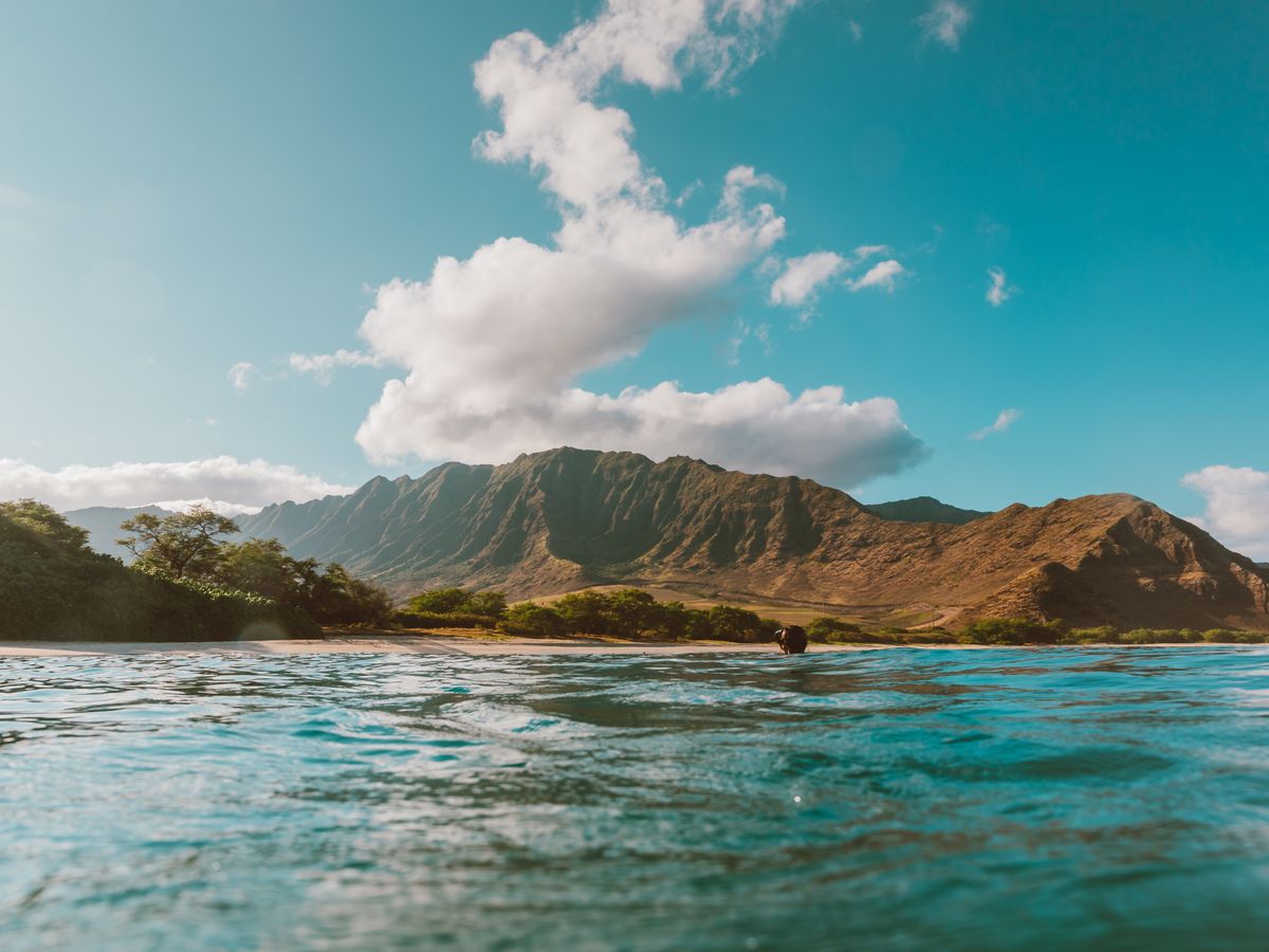 7 Day Wise Women Beekeeping Retreat & Training in Hawaii 2