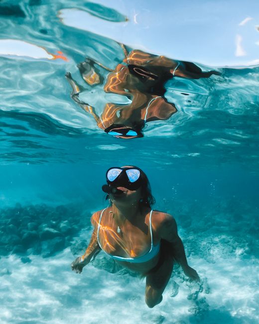 Essential Tips for a Fantastic Snorkeling Experience Essential Tips for a Fantastic Snorkeling Experience