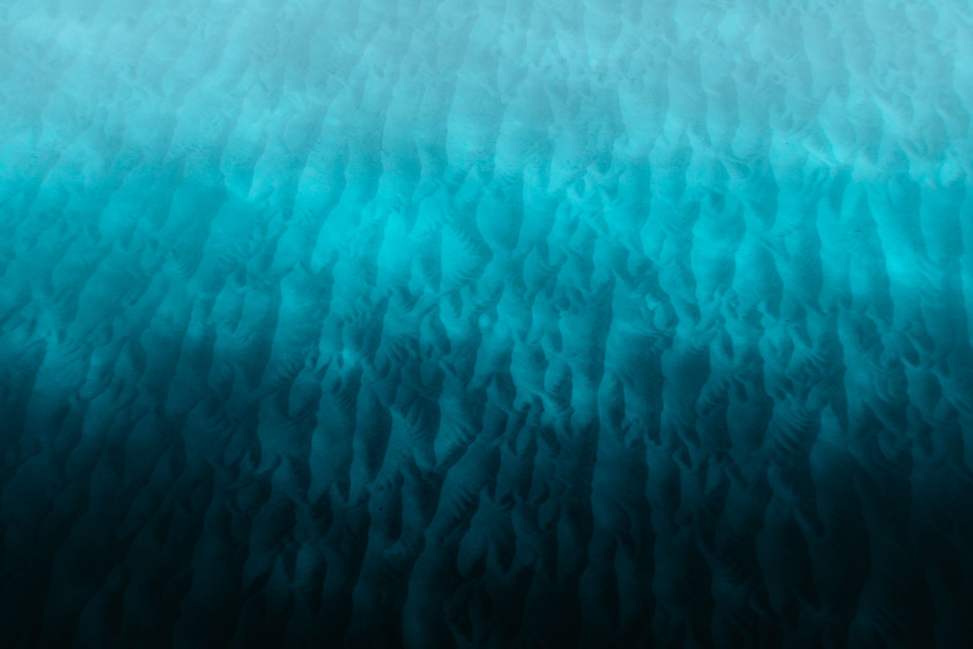 Underwater reef at Southern Leyte / Sogod Bay
