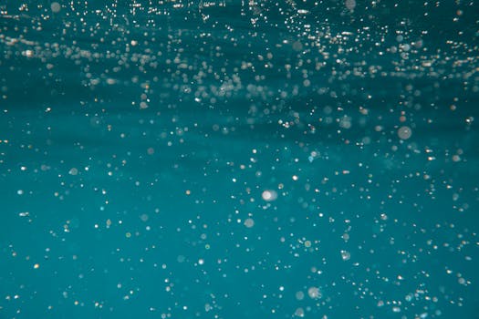 Captivating underwater scene with floating bubbles and bokeh effect.