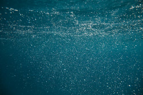 水, 水下攝影, 泡泡 的 免費圖庫相片