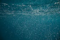 迷人的水下景观，气泡和闪闪发光的光线营造出神秘的氛围