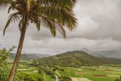 Free Beautiful tropical countryside landscape with palm tree under a cloudy sky. Stock Photo