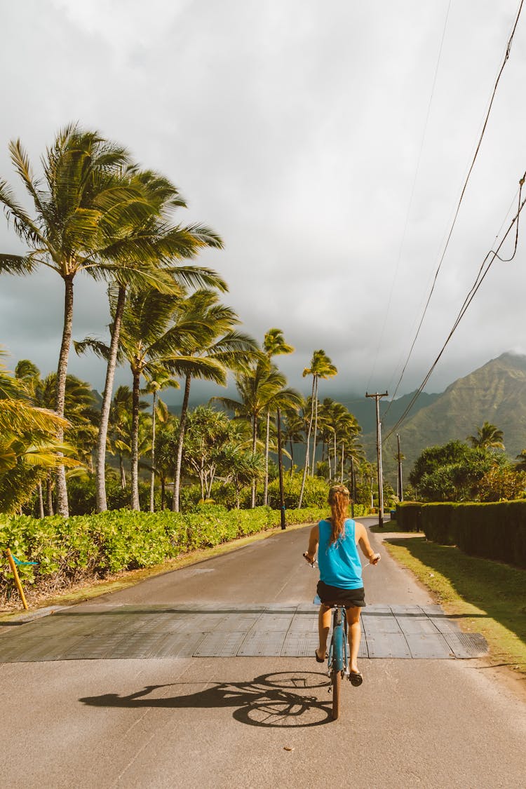 Woman Riding A Bike On A Trail Next To Palm Trees 