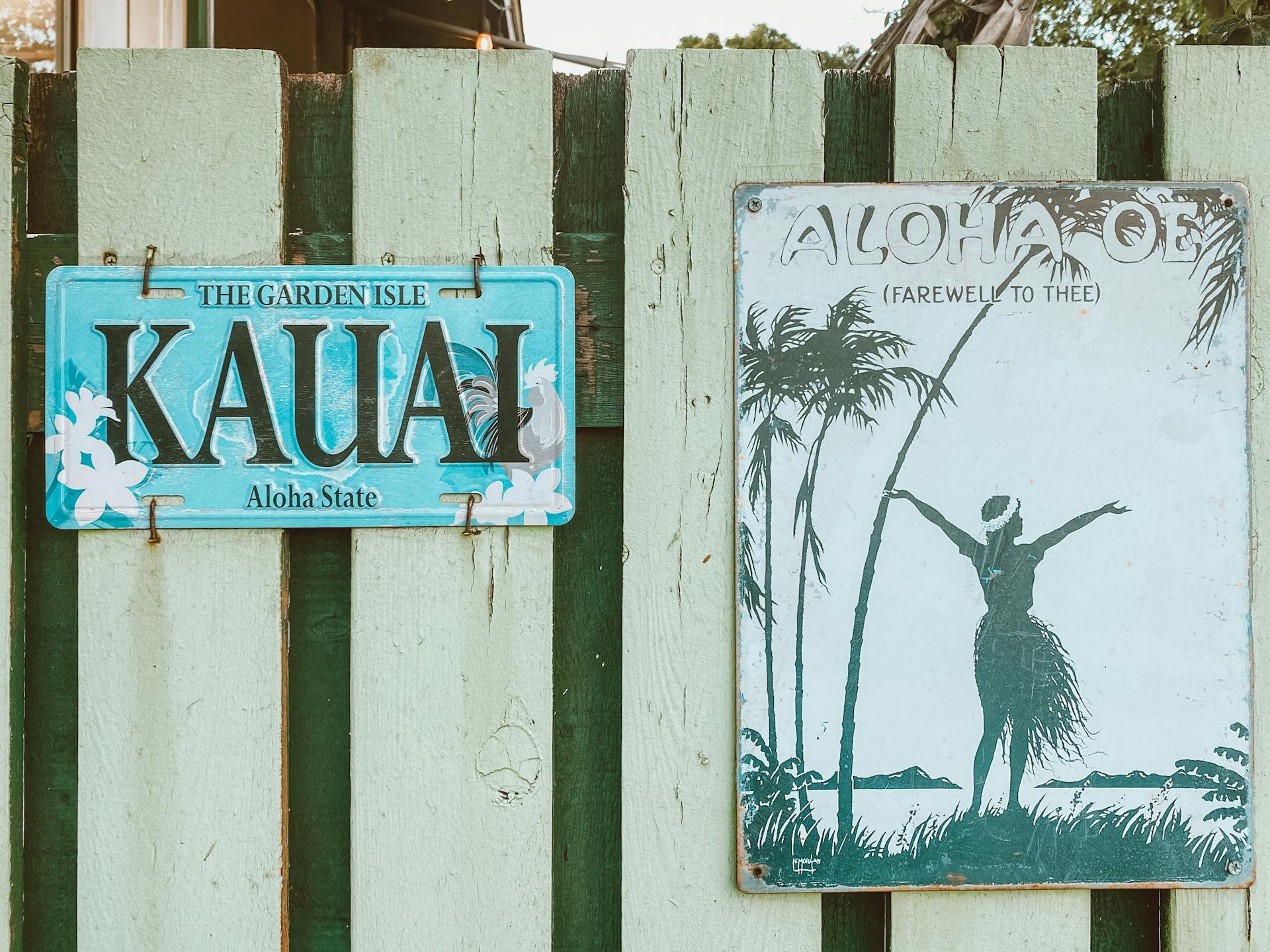 Hawaii Signs on Fence