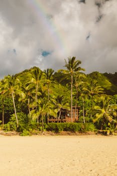 热带海滩宁静的景观中，棕榈树下有一座彩虹映照的木屋