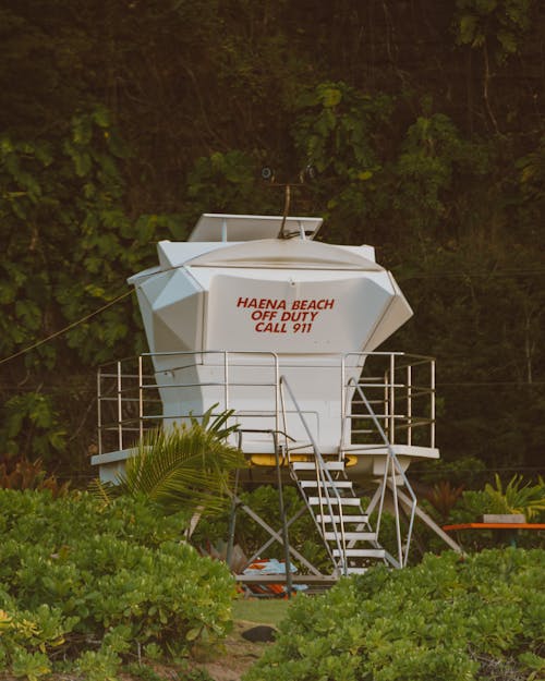 Lifeguard Tower Surrounded by Trees at Beach