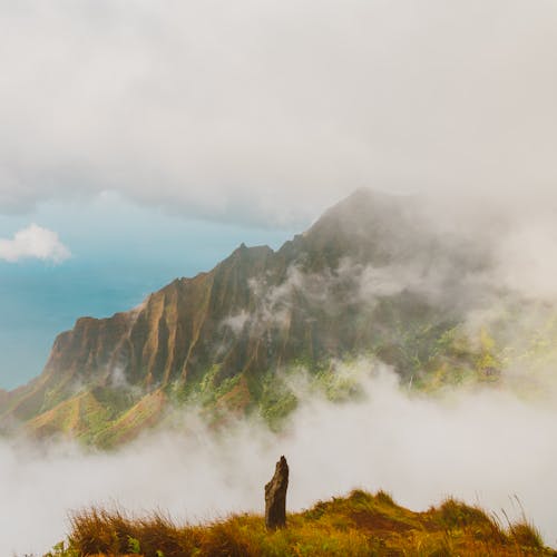 Free Clouds and Thick Fog Covering the Brown Mountain  Stock Photo
