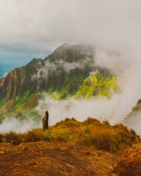 Breathtaking view of a foggy mountain landscape with vibrant greenery and rocky peaks.