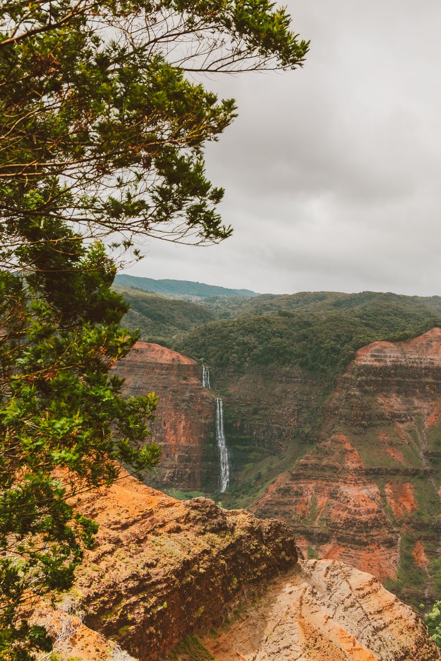 Atemberaubendes Motiv – Natur Hintergrundbild (von Jess Loiterton, 6000×9000, #5008375)
