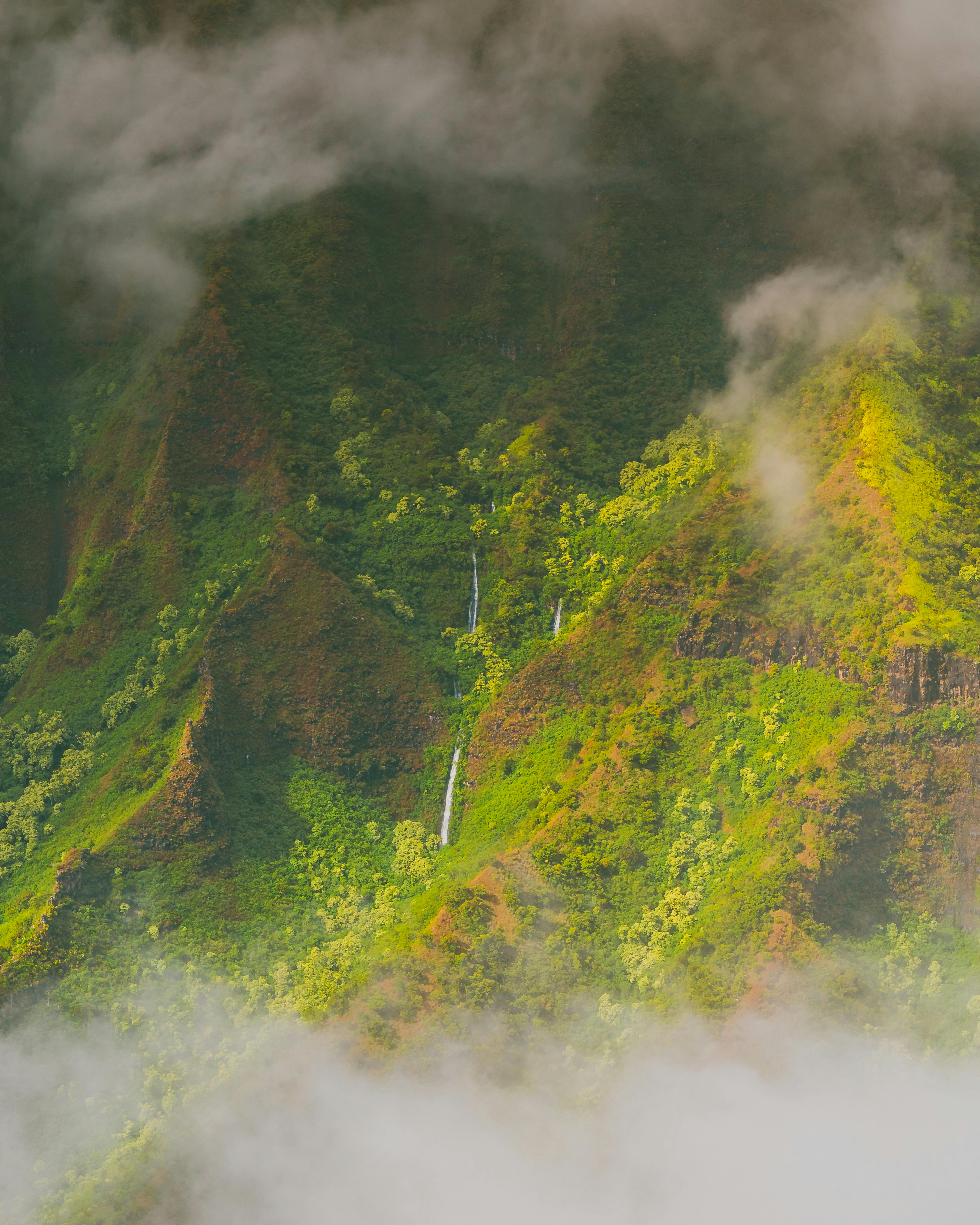 山景优美，一道温柔的瀑布从薄雾笼罩的郁郁葱葱的绿植间倾泻而下