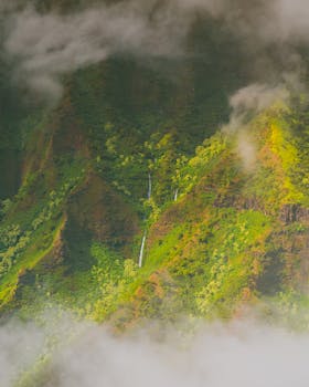 山景优美，一道温柔的瀑布从薄雾笼罩的郁郁葱葱的绿植间倾泻而下