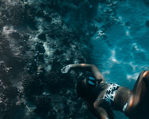 Free A woman in a bikini free dives near a coral reef, exploring the vibrant underwater world. Stock Photo