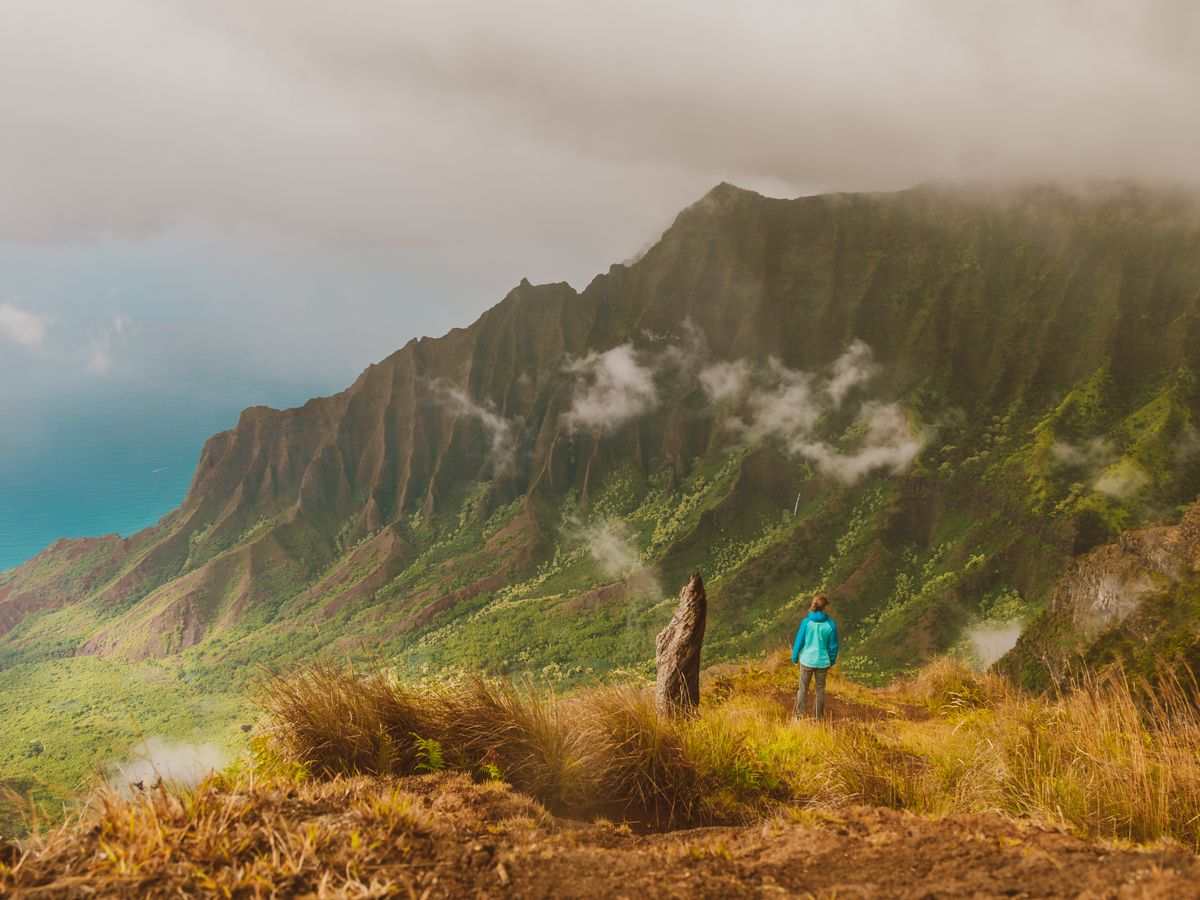9 Day Sound Healing Level 1 to 4 Training in Hawaii 2