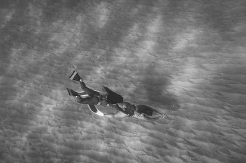 Black and White Underwater Photo of Women Diving 