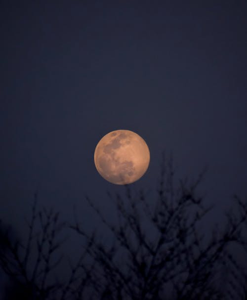 Free stock photo of a beautiful moon, beautiful moon night, bright moon