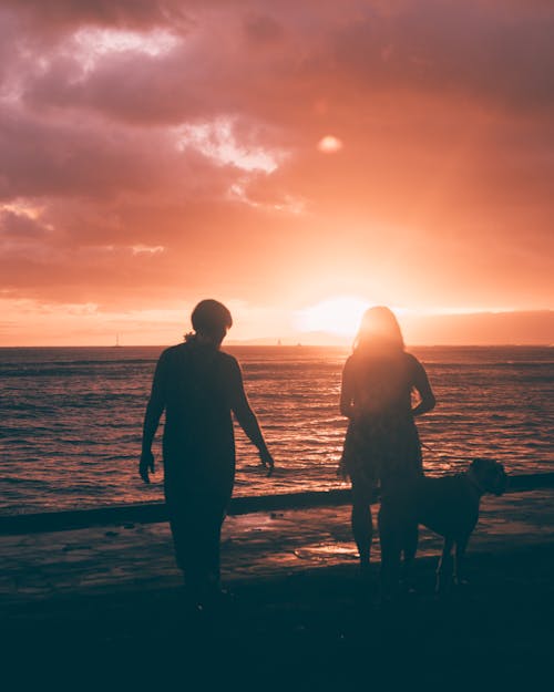 
A Couple at the Beach with Their Dog