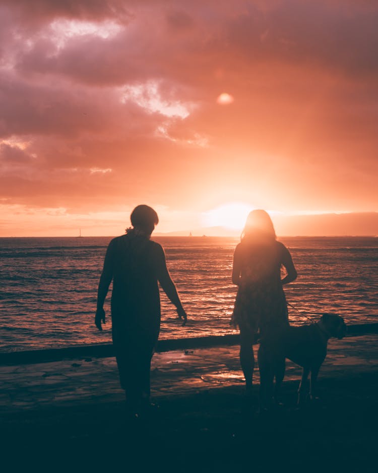 
A Couple At The Beach With Their Dog