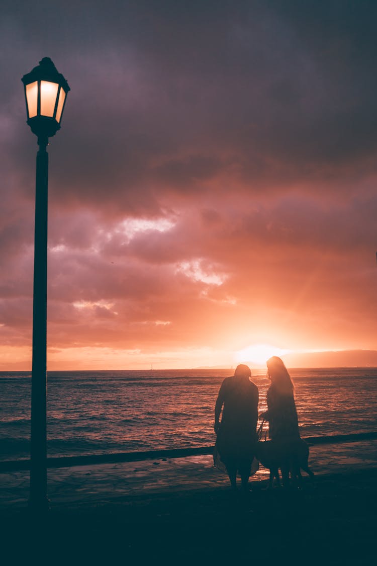 
A Couple At The Beach With Their Dog