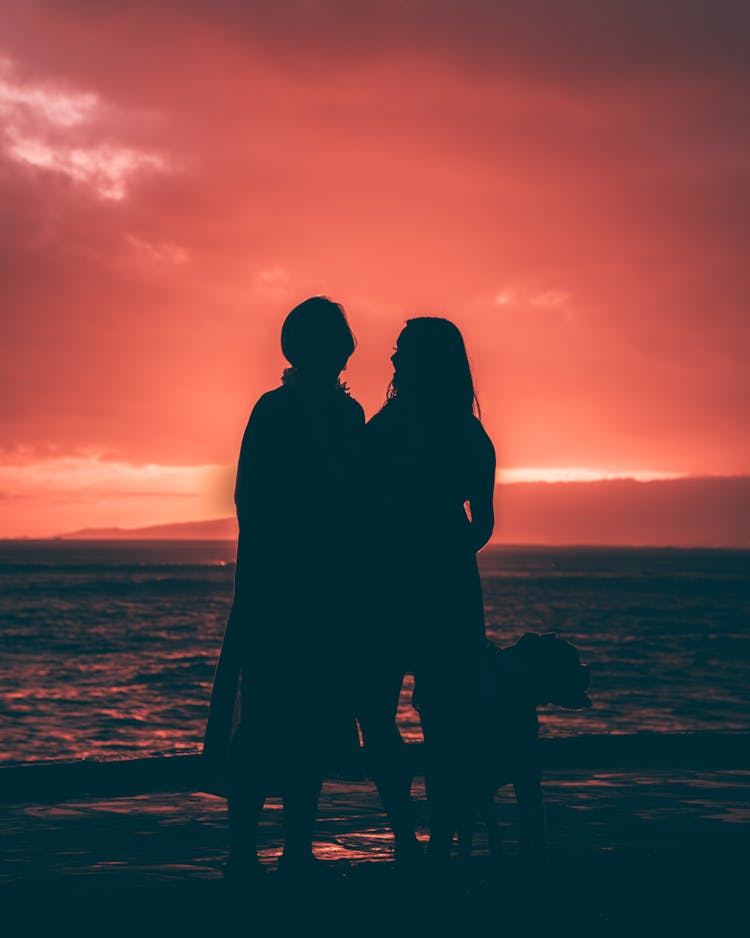 
A Couple At The Beach With Their Dog