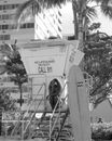 Grayscale Photo of Man in Black Jacket Standing Near Palm Tree