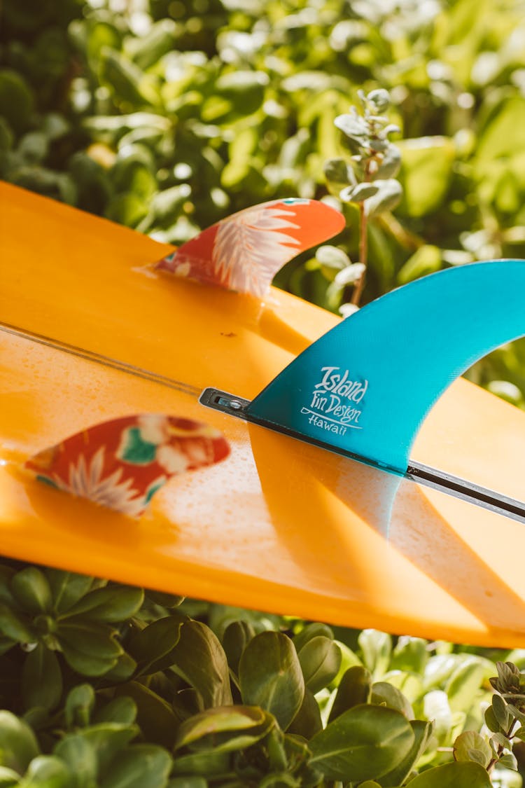 Close-up Of Surfboard With Plants On Background