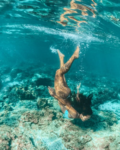 A Woman Diving Near the Coral Reef