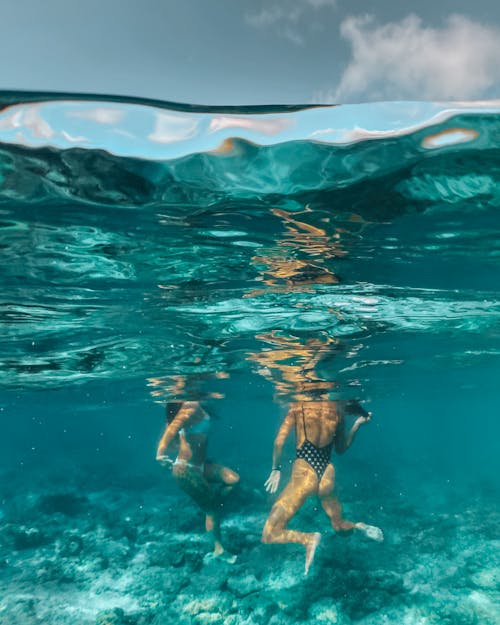 Free Women in the Water Near the Coral Reef Stock Photo