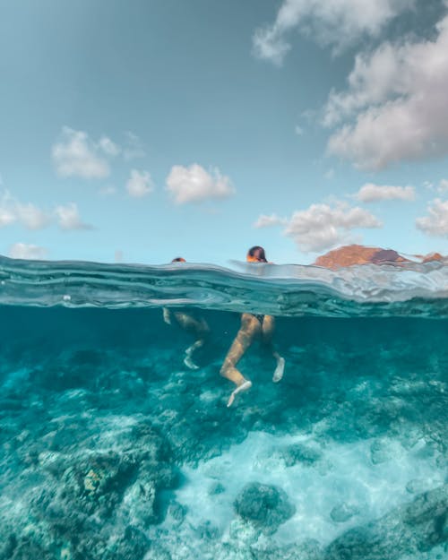 Free Women Swimming in the Water Near the Coral Reef Under Blue Sky Stock Photo