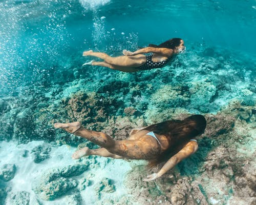 Women Wearing Swimsuit Swimming Under Water Near the Reef