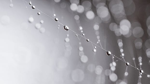 Thread of spider web with clear dew drops on gray and white background