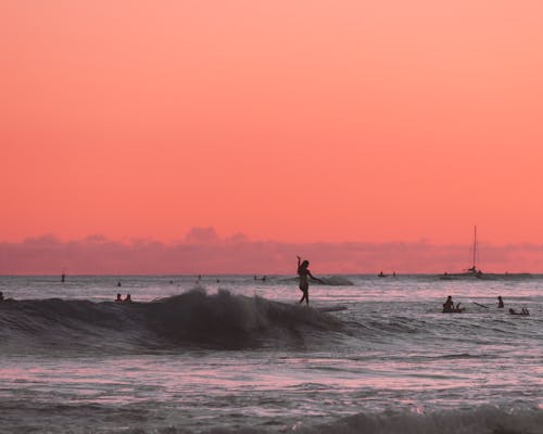 People Surfing on the Beach