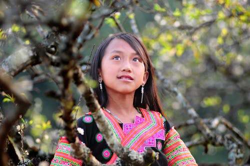 Portrait of Beautiful Girl Between Branches